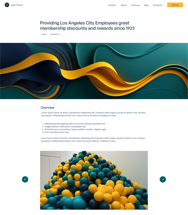 Portfolio_Page_Individual_V1